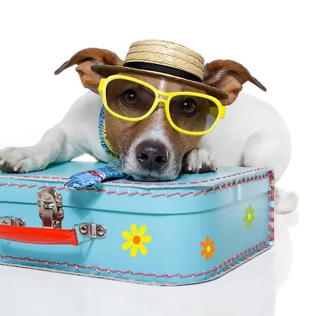 Romantic Apartamento *