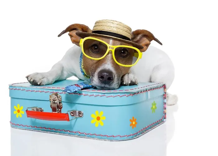 Romantic Apartmán *